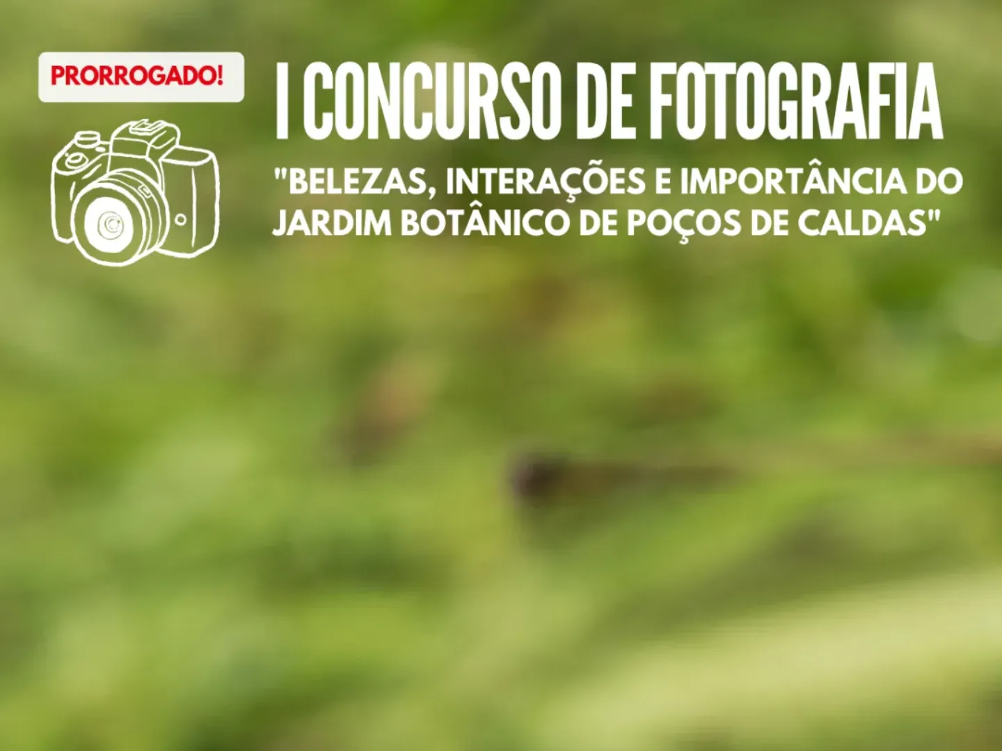 Destaque 10
