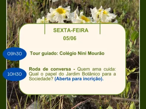 Programação 5