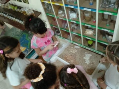 Teoria do Brincar e a Educa&ccedil;&atilde;o Ambiental